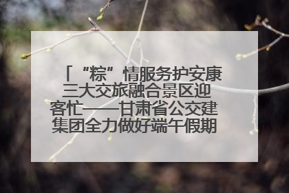 “粽”情服务护安康 三大交旅融合景区迎客忙——甘肃省公交建集团全力做好端午假期景区运营工作